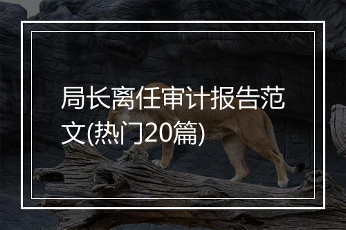 局长离任审计报告范文(热门20篇)