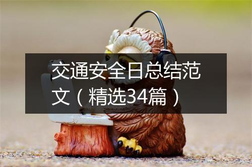 交通安全日总结范文（精选34篇）