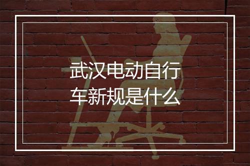 武汉电动自行车新规是什么