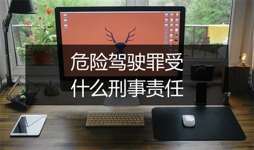 危险驾驶罪受什么刑事责任