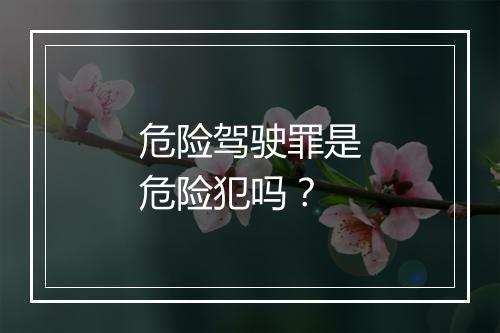 危险驾驶罪是危险犯吗？