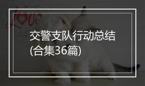 交警支队行动总结(合集36篇)