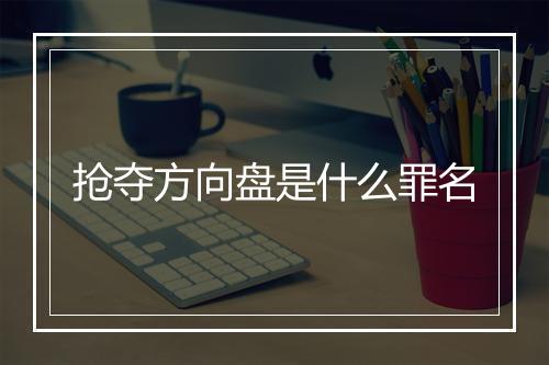 抢夺方向盘是什么罪名