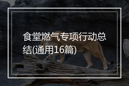食堂燃气专项行动总结(通用16篇)