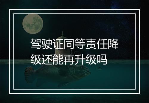 驾驶证同等责任降级还能再升级吗