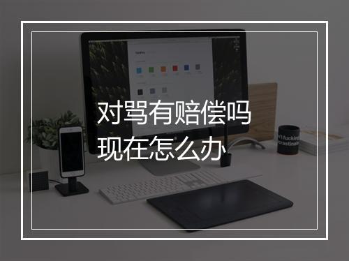 对骂有赔偿吗现在怎么办