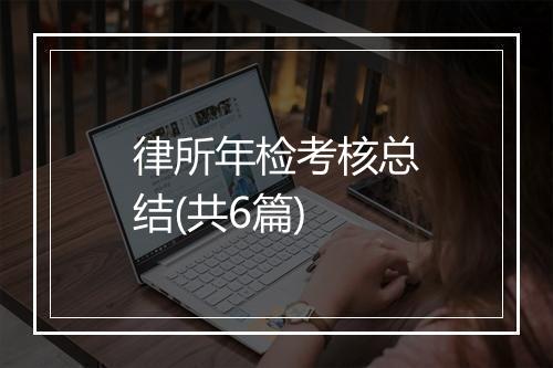 律所年检考核总结(共6篇)