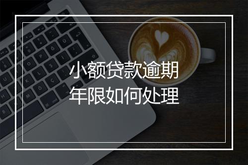 小额贷款逾期年限如何处理