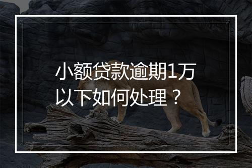 小额贷款逾期1万以下如何处理？