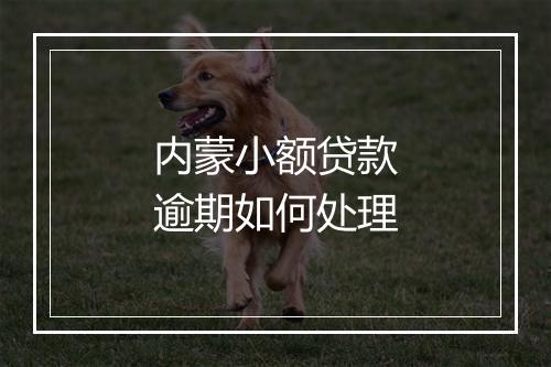 内蒙小额贷款逾期如何处理