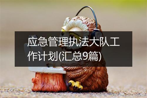 应急管理执法大队工作计划(汇总9篇)