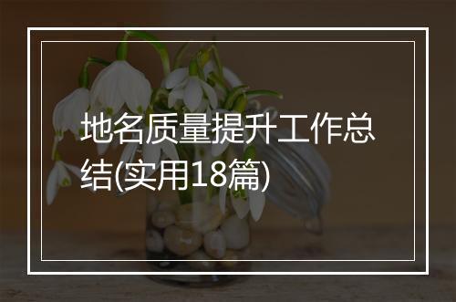 地名质量提升工作总结(实用18篇)