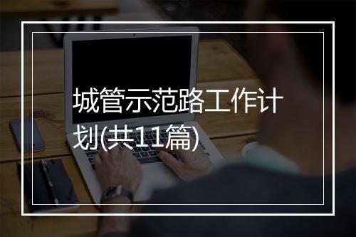 城管示范路工作计划(共11篇)