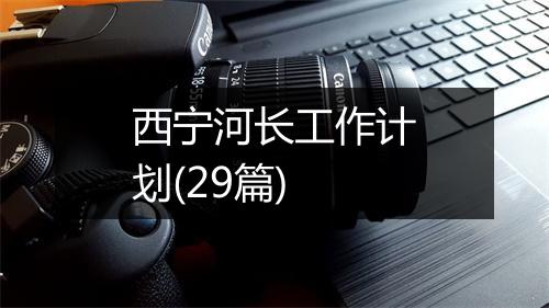 西宁河长工作计划(29篇)