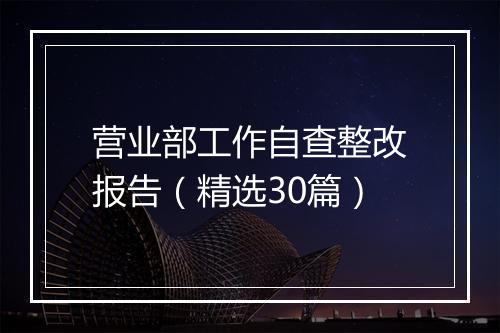 营业部工作自查整改报告（精选30篇）