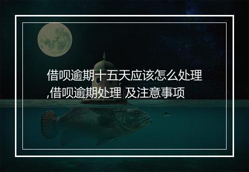 借呗逾期十五天应该怎么处理,借呗逾期处理 及注意事项