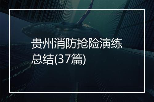 贵州消防抢险演练总结(37篇)