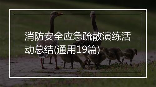 消防安全应急疏散演练活动总结(通用19篇)