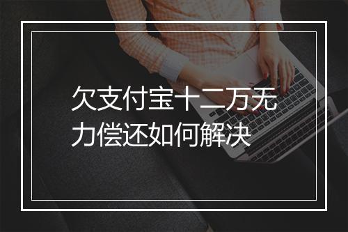 欠支付宝十二万无力偿还如何解决