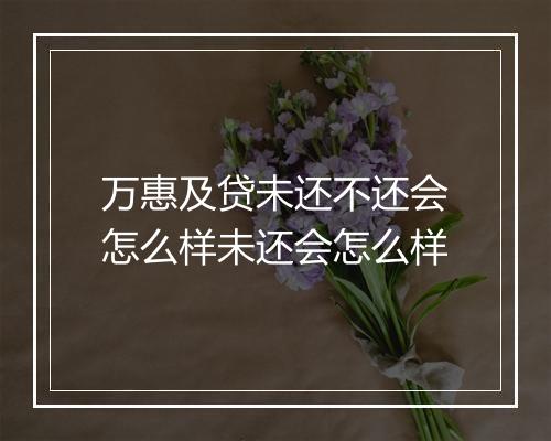 万惠及贷未还不还会怎么样未还会怎么样