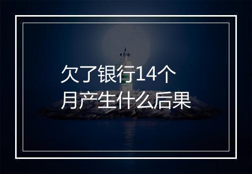 欠了银行14个月产生什么后果