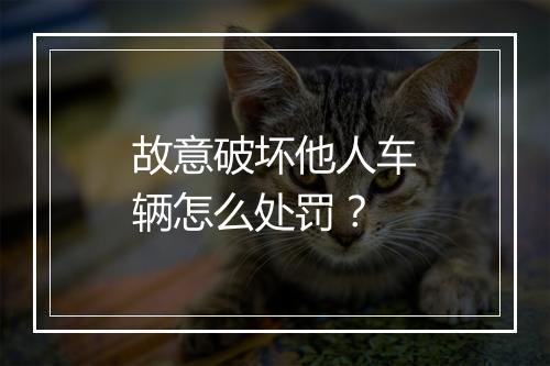 故意破坏他人车辆怎么处罚？