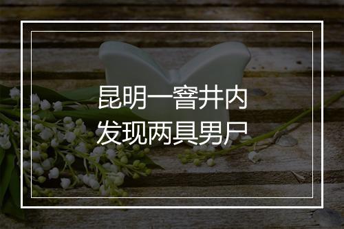 昆明一窨井内发现两具男尸
