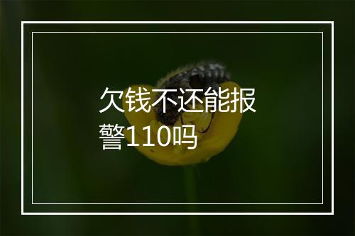 欠钱不还能报警110吗