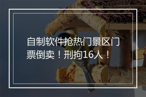自制软件抢热门景区门票倒卖！刑拘16人！