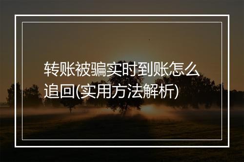 转账被骗实时到账怎么追回(实用方法解析)