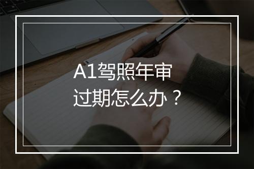 A1驾照年审过期怎么办？