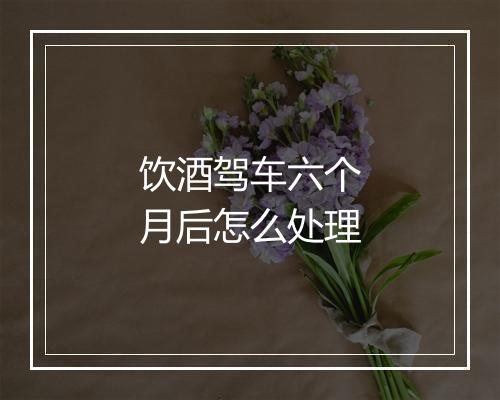 饮酒驾车六个月后怎么处理
