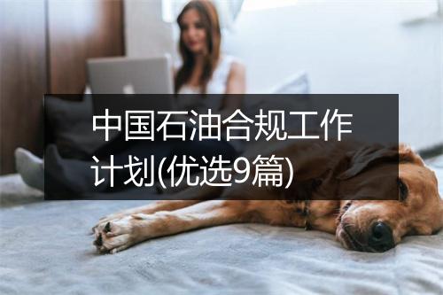 中国石油合规工作计划(优选9篇)