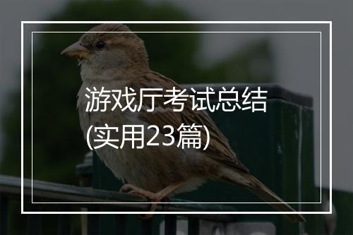 游戏厅考试总结(实用23篇)