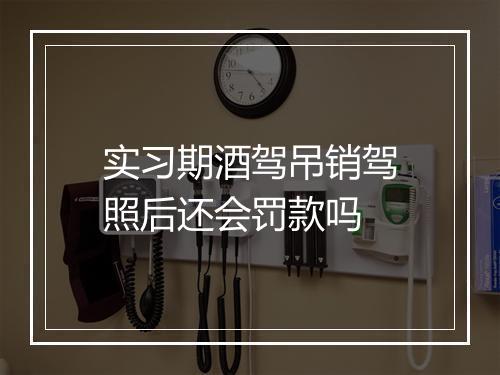 实习期酒驾吊销驾照后还会罚款吗