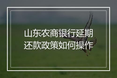 山东农商银行延期还款政策如何操作