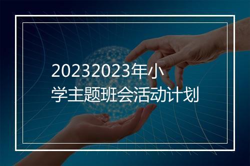 20232023年小学主题班会活动计划