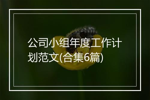 公司小组年度工作计划范文(合集6篇)