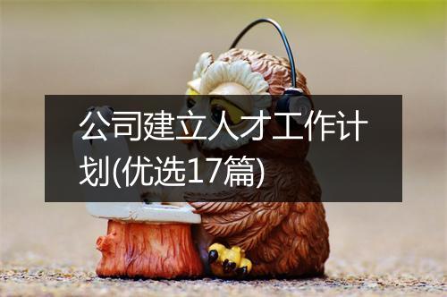 公司建立人才工作计划(优选17篇)