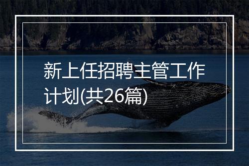 新上任招聘主管工作计划(共26篇)