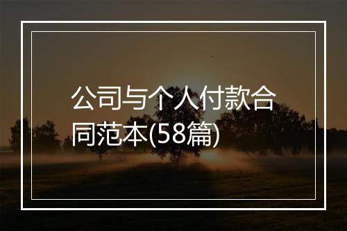 公司与个人付款合同范本(58篇)