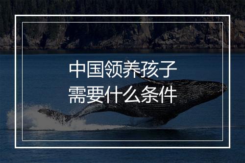 中国领养孩子需要什么条件