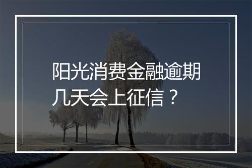 阳光消费金融逾期几天会上征信？