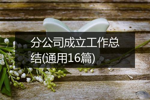 分公司成立工作总结(通用16篇)