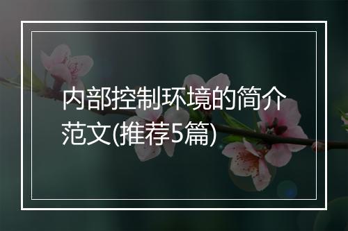 内部控制环境的简介范文(推荐5篇)