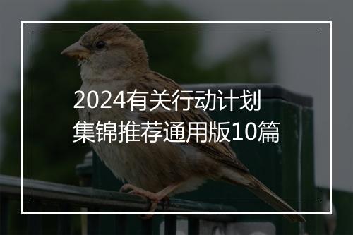 2024有关行动计划集锦推荐通用版10篇