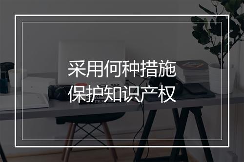 采用何种措施保护知识产权