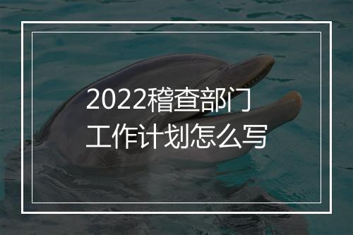 2022稽查部门工作计划怎么写