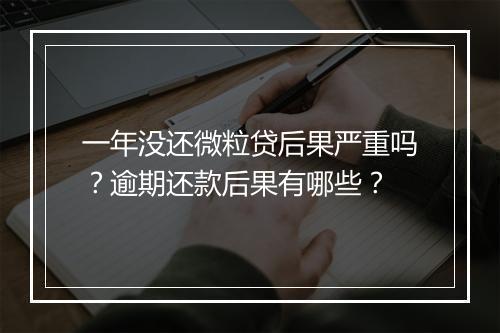 一年没还微粒贷后果严重吗？逾期还款后果有哪些？