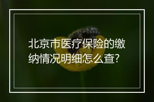 北京市医疗保险的缴纳情况明细怎么查?